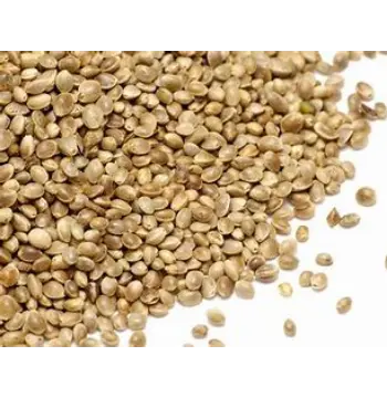 Natural Hemp Seeds